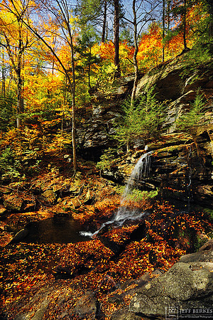 REYNOLDS FALLS