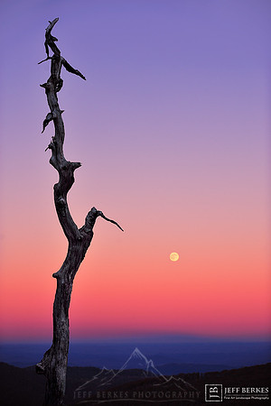 SKYLINE MOONRISE