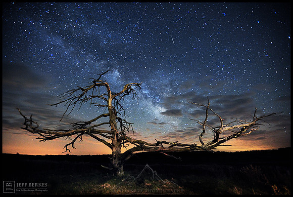RESTING MEADOWS