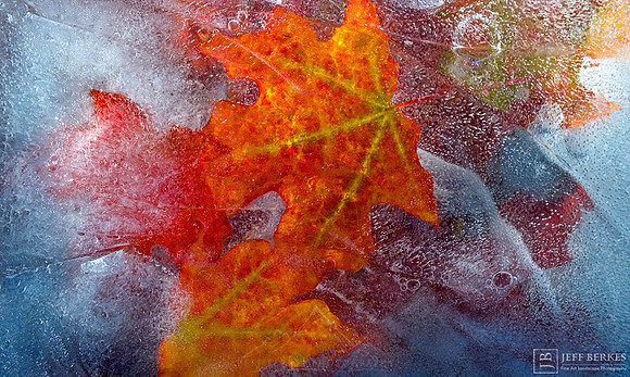 FROZEN IN TIME