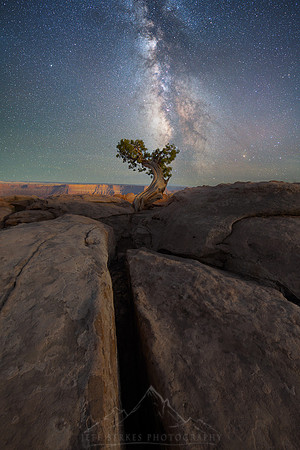 RESILIENCE