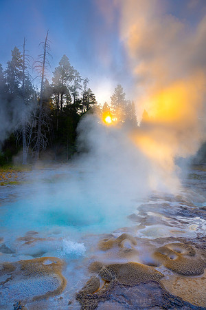 MORNING STEAM | YELLOWSTONE