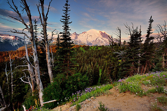 MOUNT RAINIER