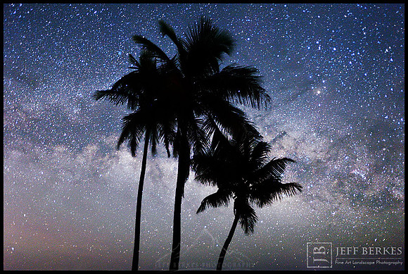PALMS AND STARS