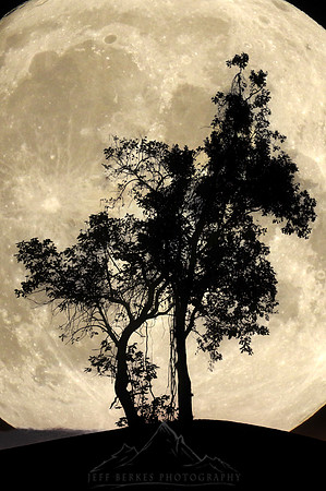 HARVEST MOON | SEPTEMBER 2022