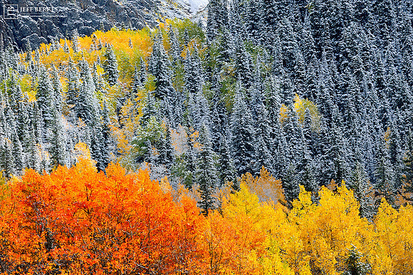 CHANGING SEASONS