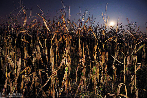 HARVEST MOON 2011