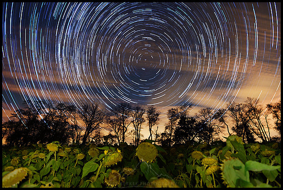 BRANDYWINE VALLEY STARRY NIGHT