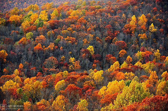 SHENANDOAH NATIONAL PARK