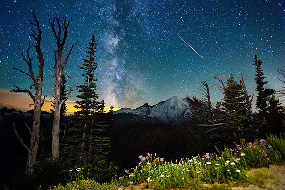 MOUNT RAINIER AND A PERSEID METEOR