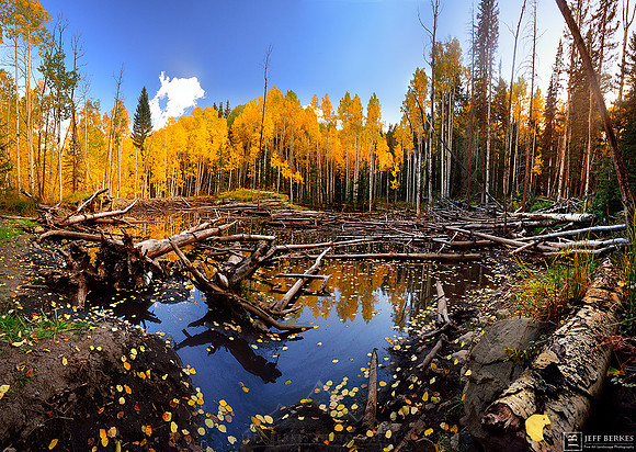 ASPEN REFLECTIONS
