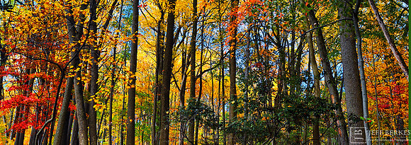 VALLEY FORGE AUTUMN PANORAMA