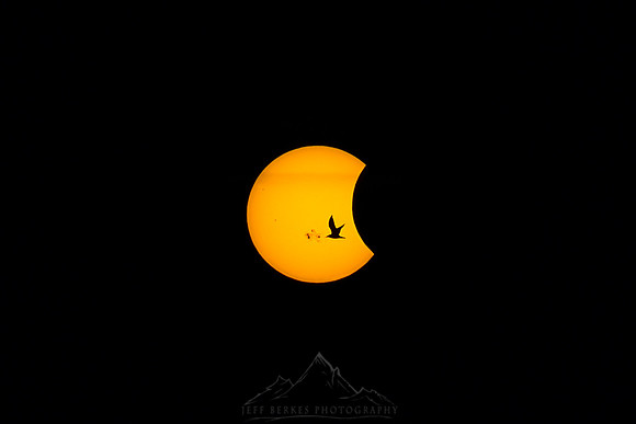 PARTIAL SOLAR ECLIPSE 2014