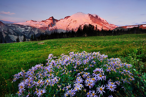 MOUNT RAINIER