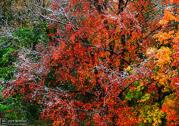 OCTOBER SNOW