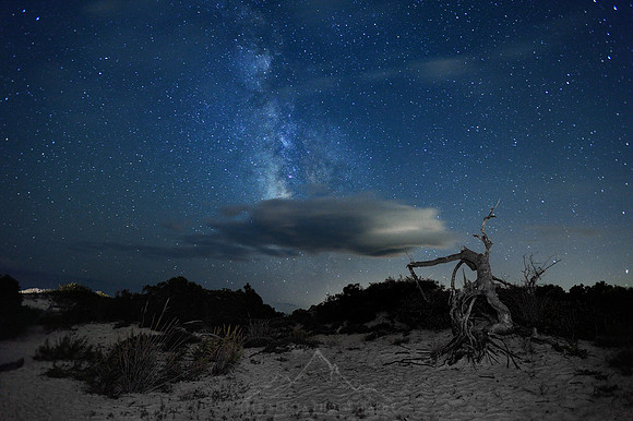 ISLAND NIGHTS